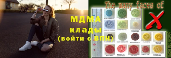прущие грибы Вязьма