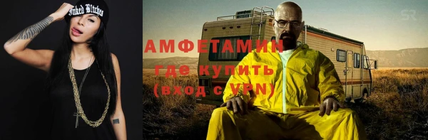 прущие грибы Вязьма