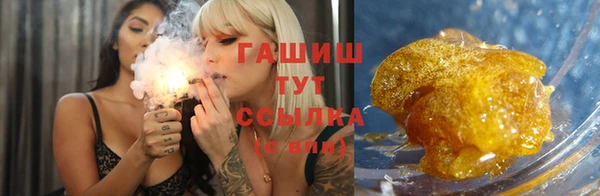 прущие грибы Вязьма
