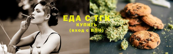 прущие грибы Вязьма