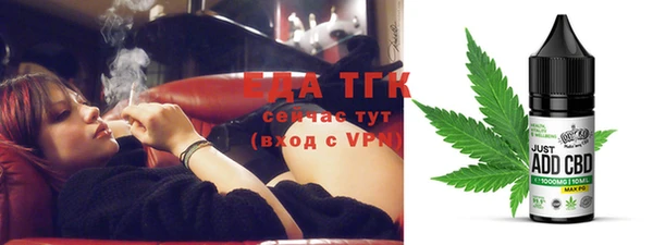 прущие грибы Вязьма
