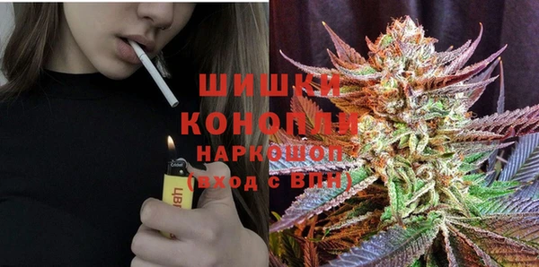 гидропоника Вяземский