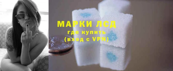 прущие грибы Вязьма