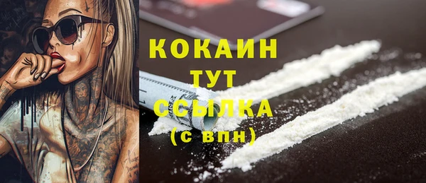ГАЛЛЮЦИНОГЕННЫЕ ГРИБЫ Ладушкин
