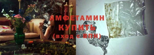 прущие грибы Вязьма