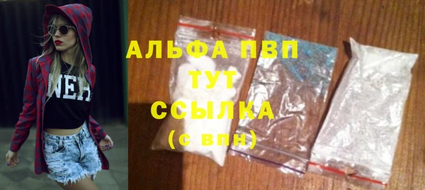 прущие грибы Вязьма